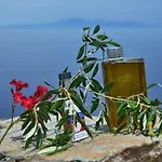 Thalatta Thalatta Otzias