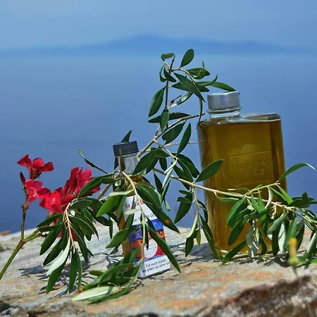 Thalatta Thalatta Villa Otziás