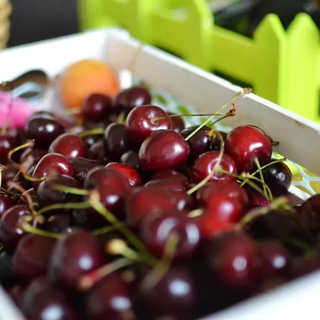 Villa Thalatta Thalatta