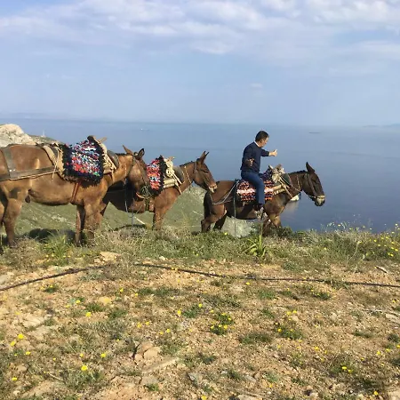Thalatta Thalatta Villa