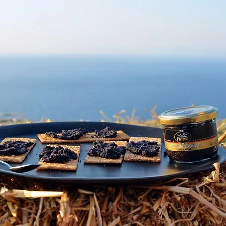 Thalatta Thalatta Villa Otziás