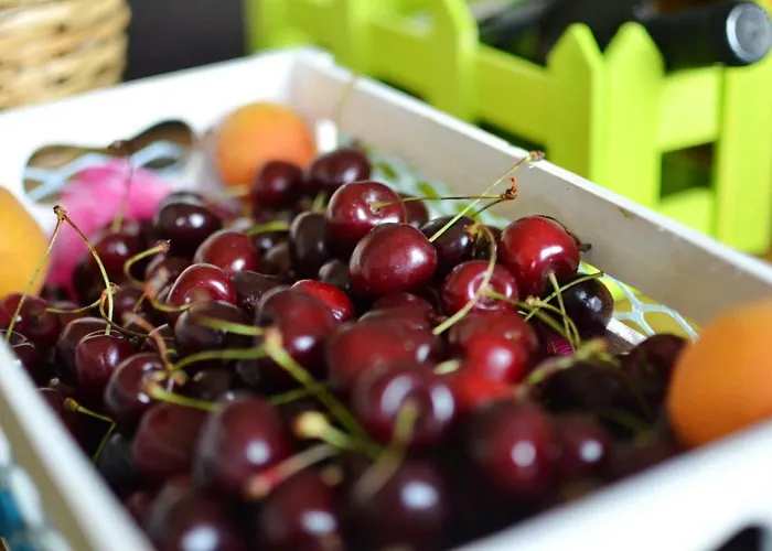 Villa Thalatta Thalatta