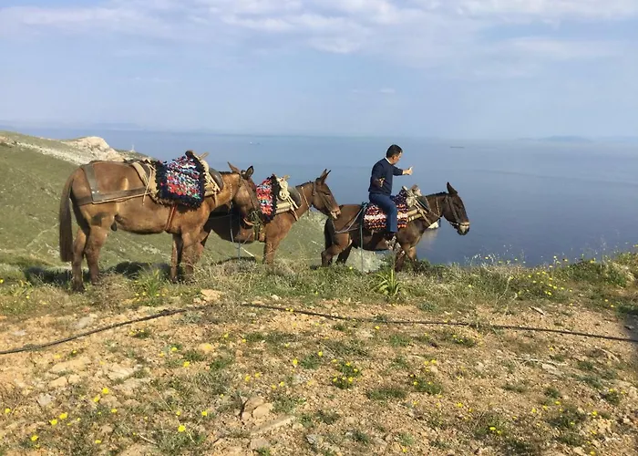 Thalatta Thalatta Villa